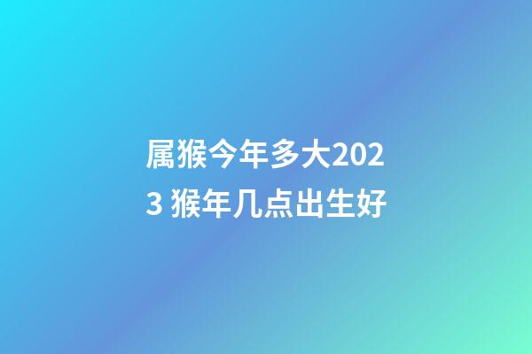 属猴今年多大2023 猴年几点出生好
